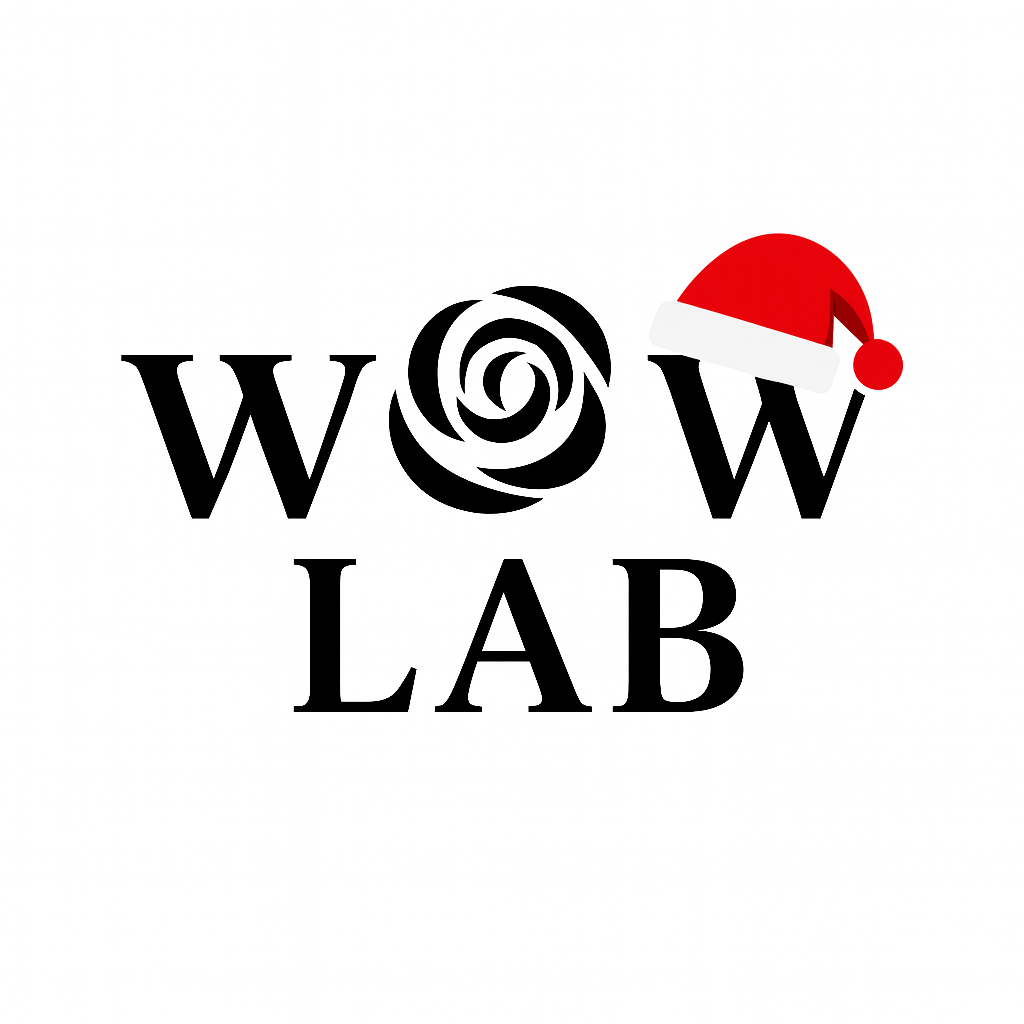 WOW Lab – Holiday Edition (2 hours, per person)