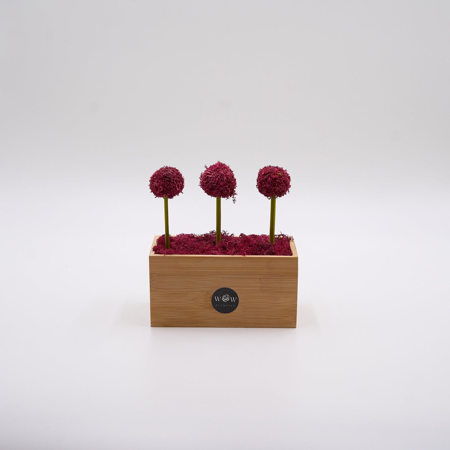 Installation med drømmende pink nuancer og præserverede elementer.