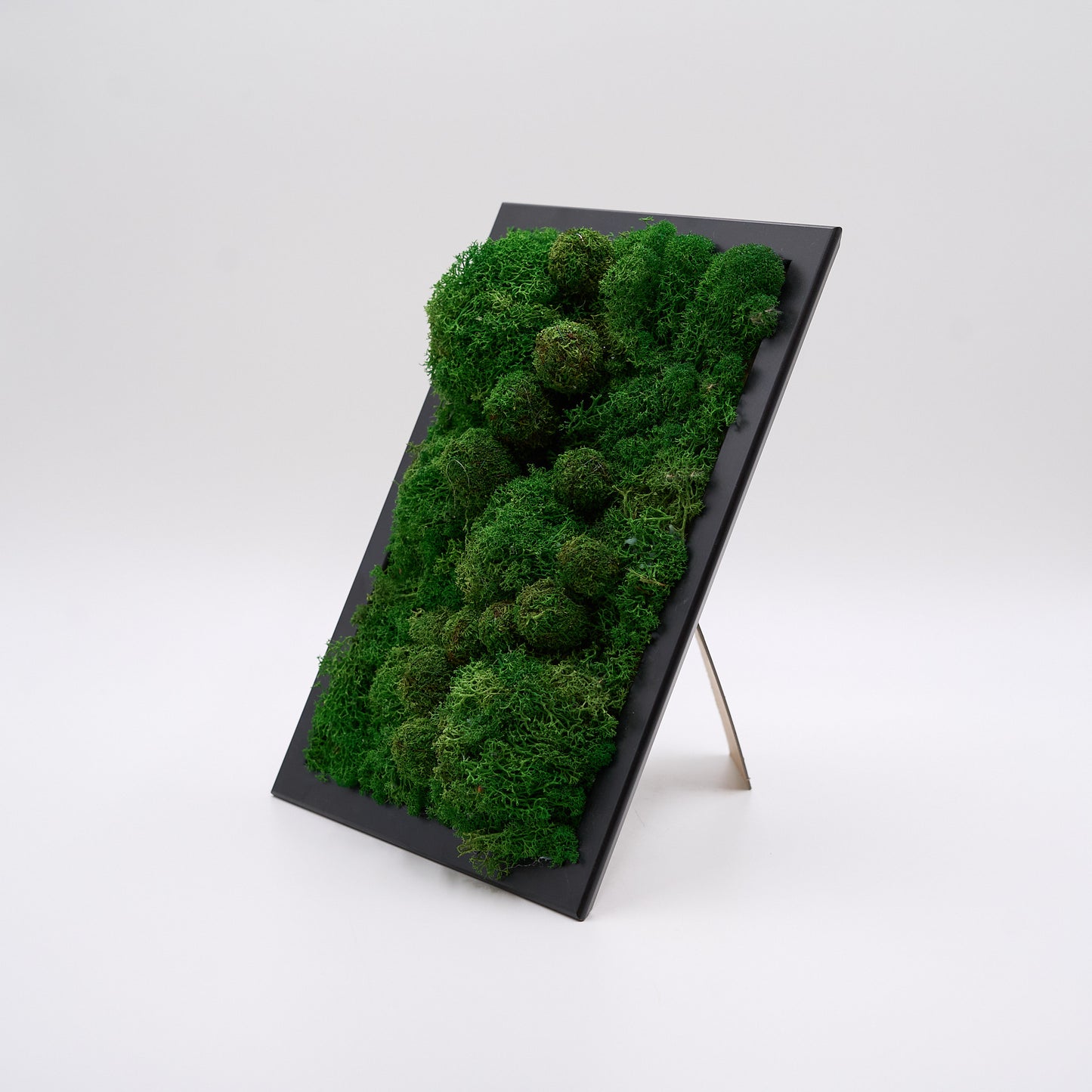 Legende variation af præserverede grønne nuancer.