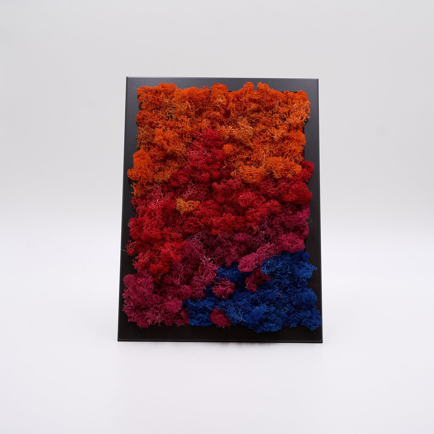 Kunstnerisk installation med en symfoni af præserverede mosnuancer.